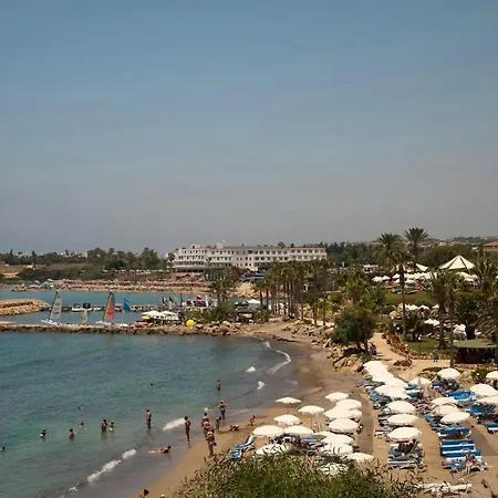 Magnolia By * 佩亚